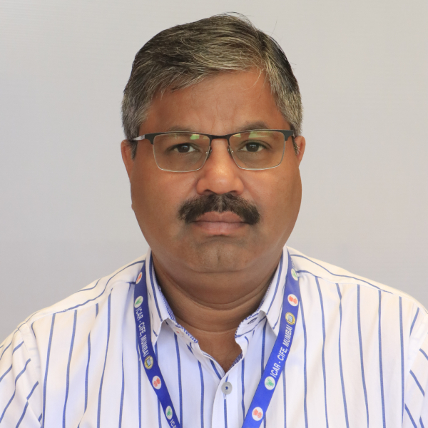 Shri Sanjay Bokolia Shri Sanjay Bokolia